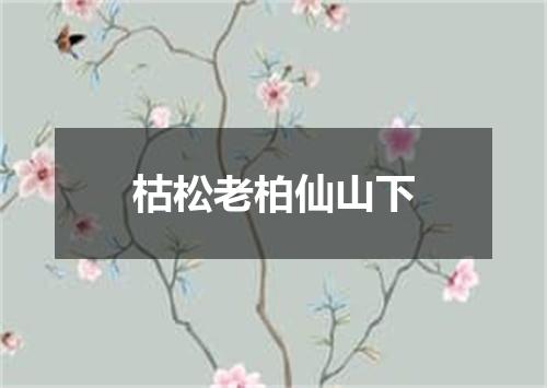 枯松老柏仙山下
