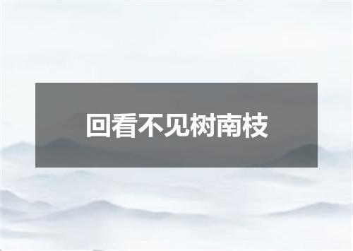 回看不见树南枝