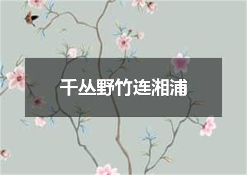 千丛野竹连湘浦