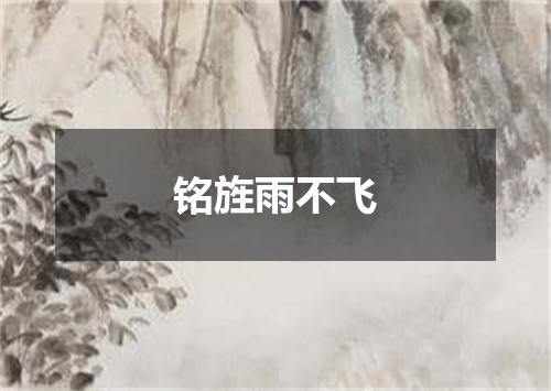 铭旌雨不飞