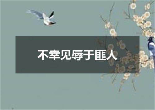 不幸见辱于匪人