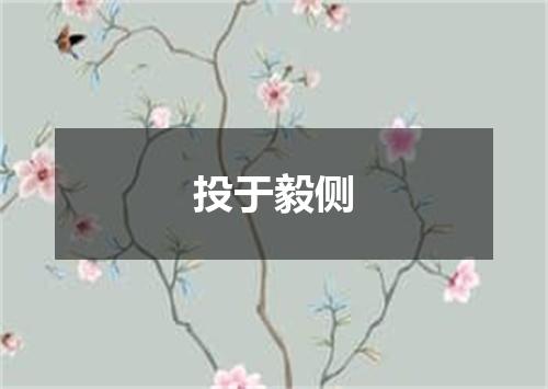 投于毅侧
