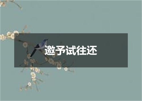 邀予试往还
