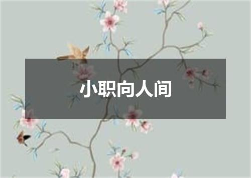 小职向人间