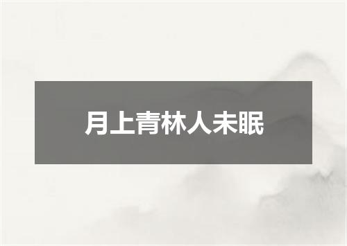 月上青林人未眠