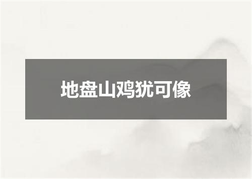 地盘山鸡犹可像
