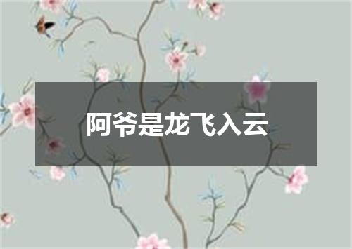 阿爷是龙飞入云
