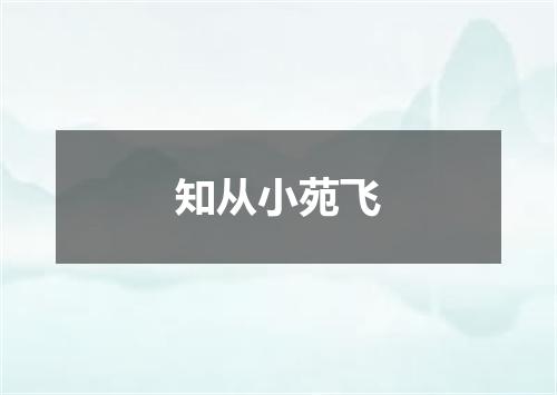 知从小苑飞