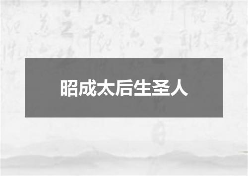 昭成太后生圣人
