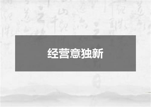 经营意独新