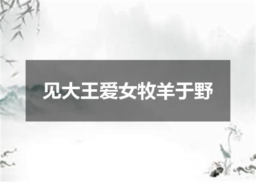 见大王爱女牧羊于野