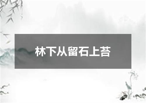 林下从留石上苔