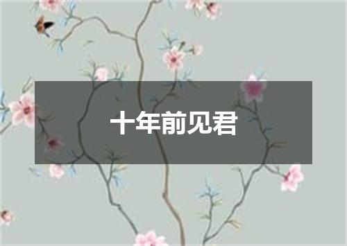十年前见君