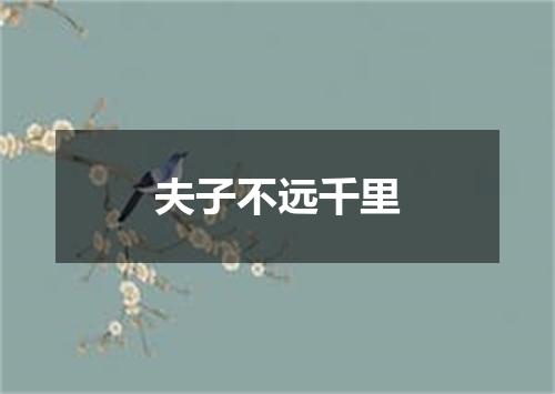 夫子不远千里