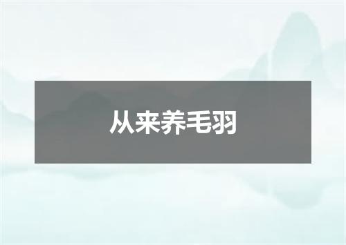 从来养毛羽