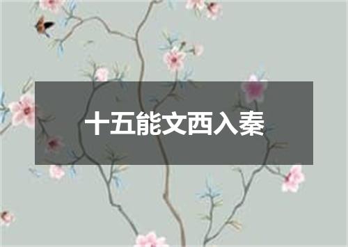 十五能文西入秦