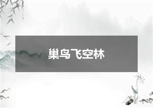 巢鸟飞空林
