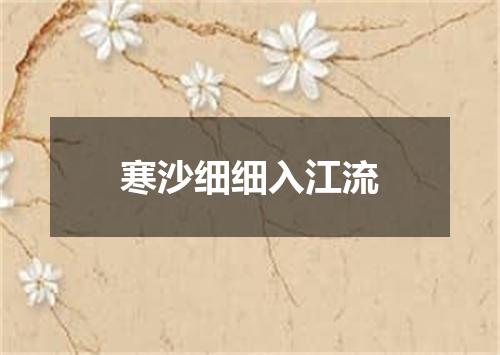 寒沙细细入江流