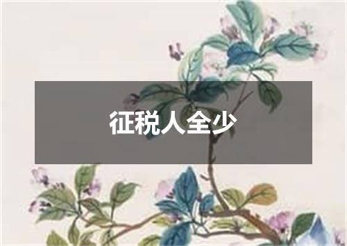 征税人全少