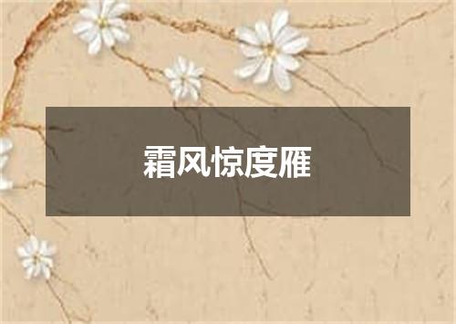 霜风惊度雁
