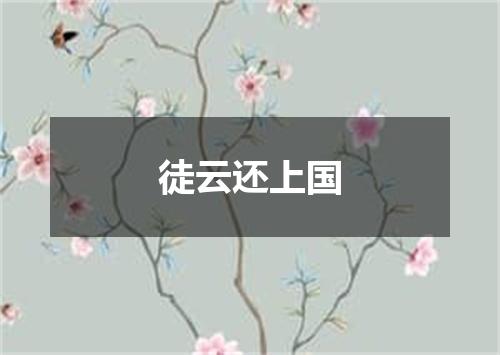 徒云还上国