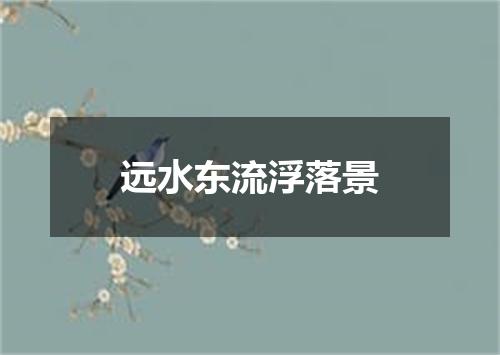 远水东流浮落景