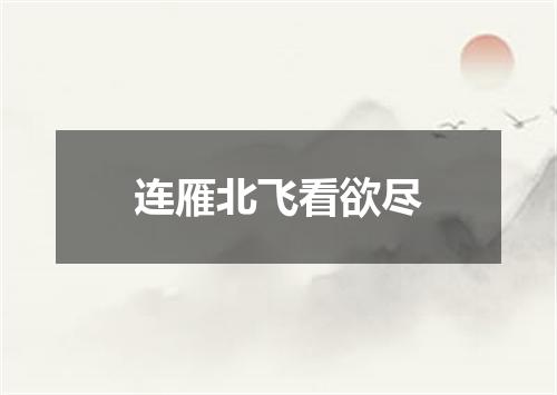 连雁北飞看欲尽