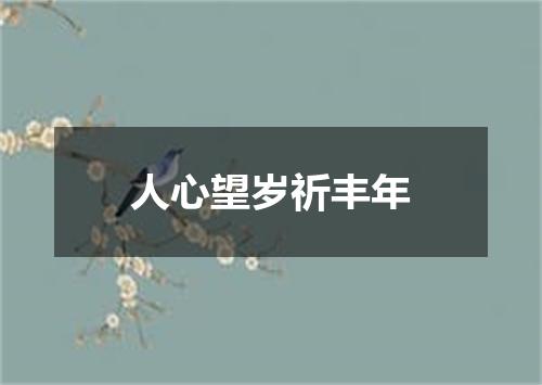 人心望岁祈丰年