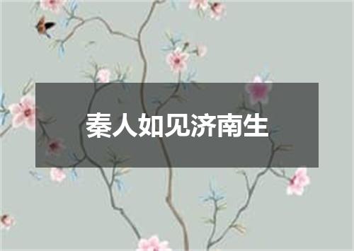 秦人如见济南生