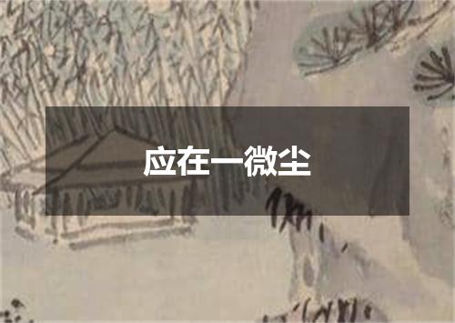 应在一微尘