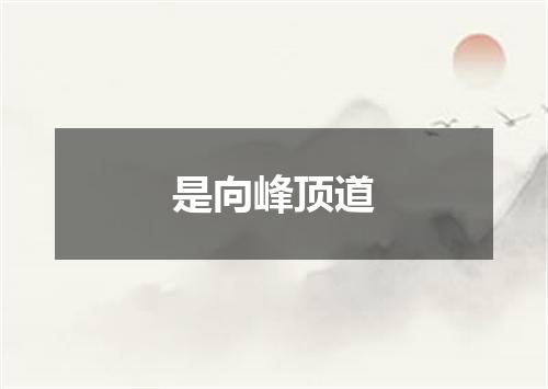 是向峰顶道