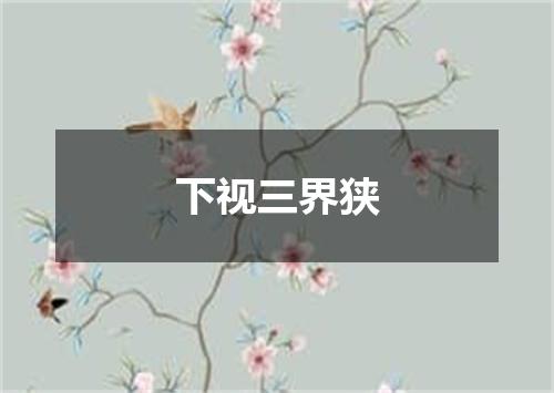 下视三界狭