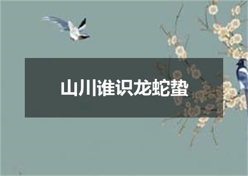 山川谁识龙蛇蛰
