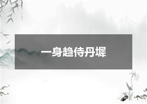 一身趋侍丹墀