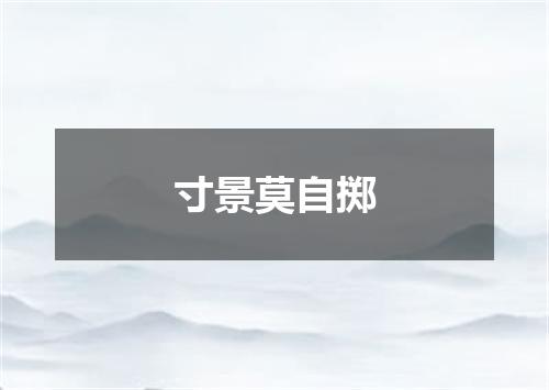 寸景莫自掷