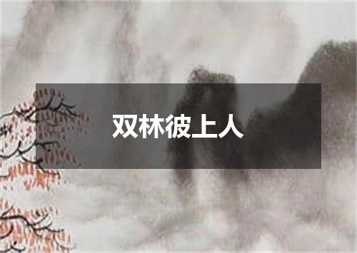 双林彼上人