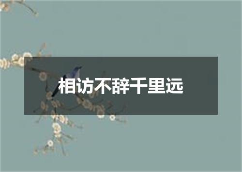 相访不辞千里远