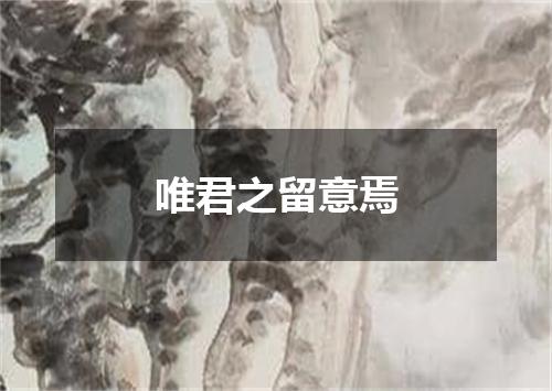 唯君之留意焉