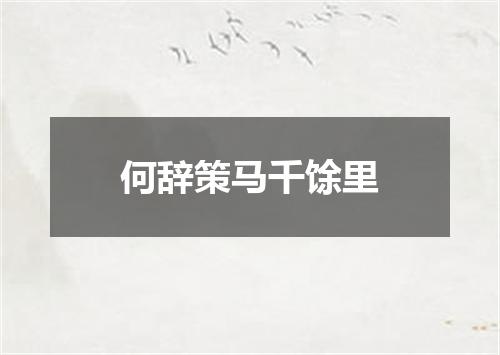 何辞策马千馀里