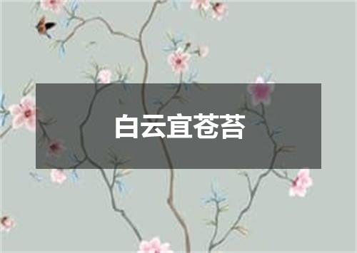 白云宜苍苔