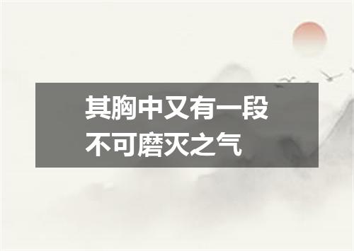 其胸中又有一段不可磨灭之气