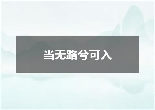 当无路兮可入