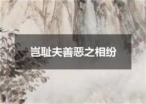 岂耻夫善恶之相纷