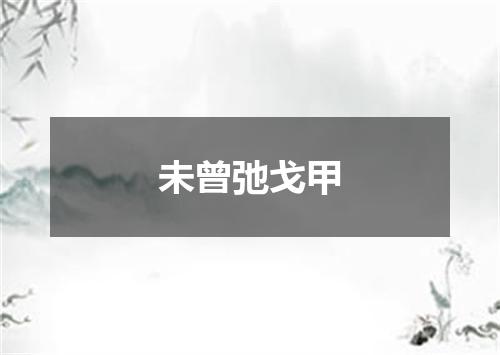 未曾弛戈甲