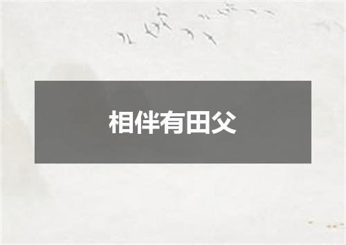 相伴有田父