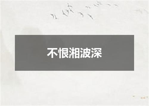 不恨湘波深