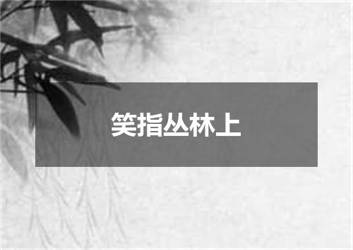 笑指丛林上