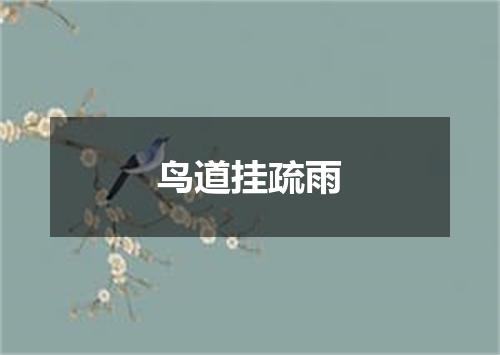 鸟道挂疏雨