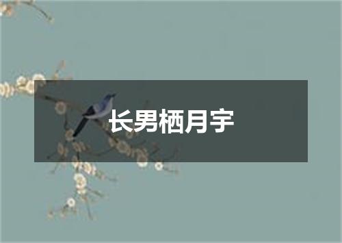 长男栖月宇