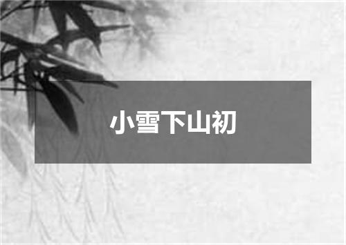 小雪下山初